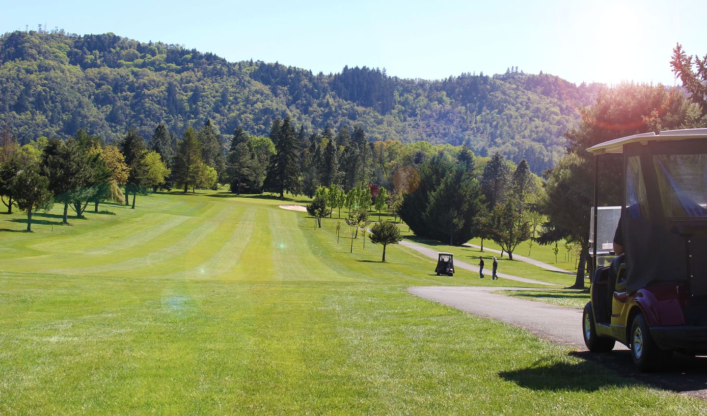 Golf course fairway