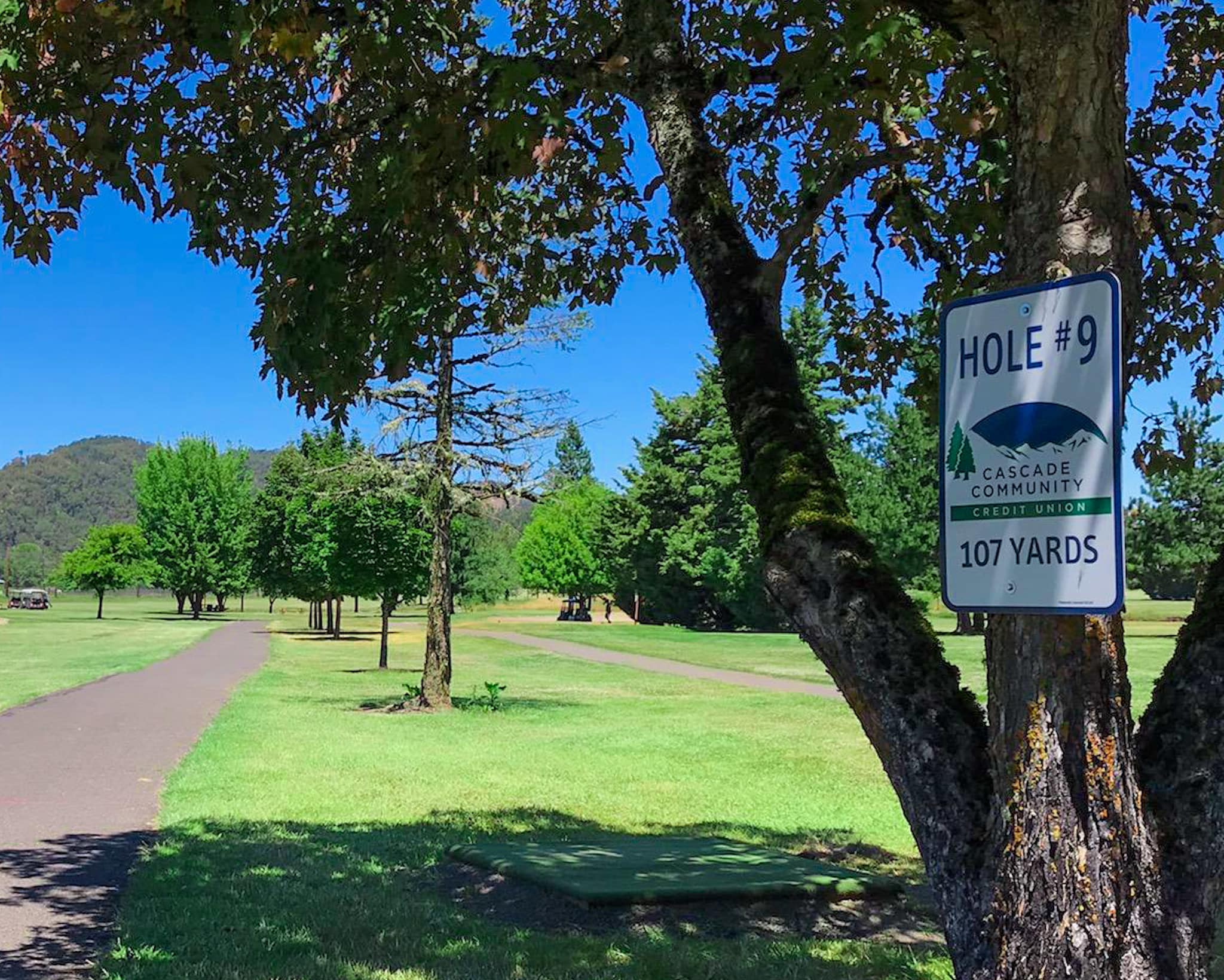 Hole #9